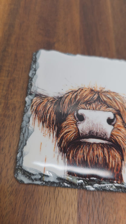 Slate Coaster - Highland Cow Slate Coaster - Highland Cow Coaster - I See Moo