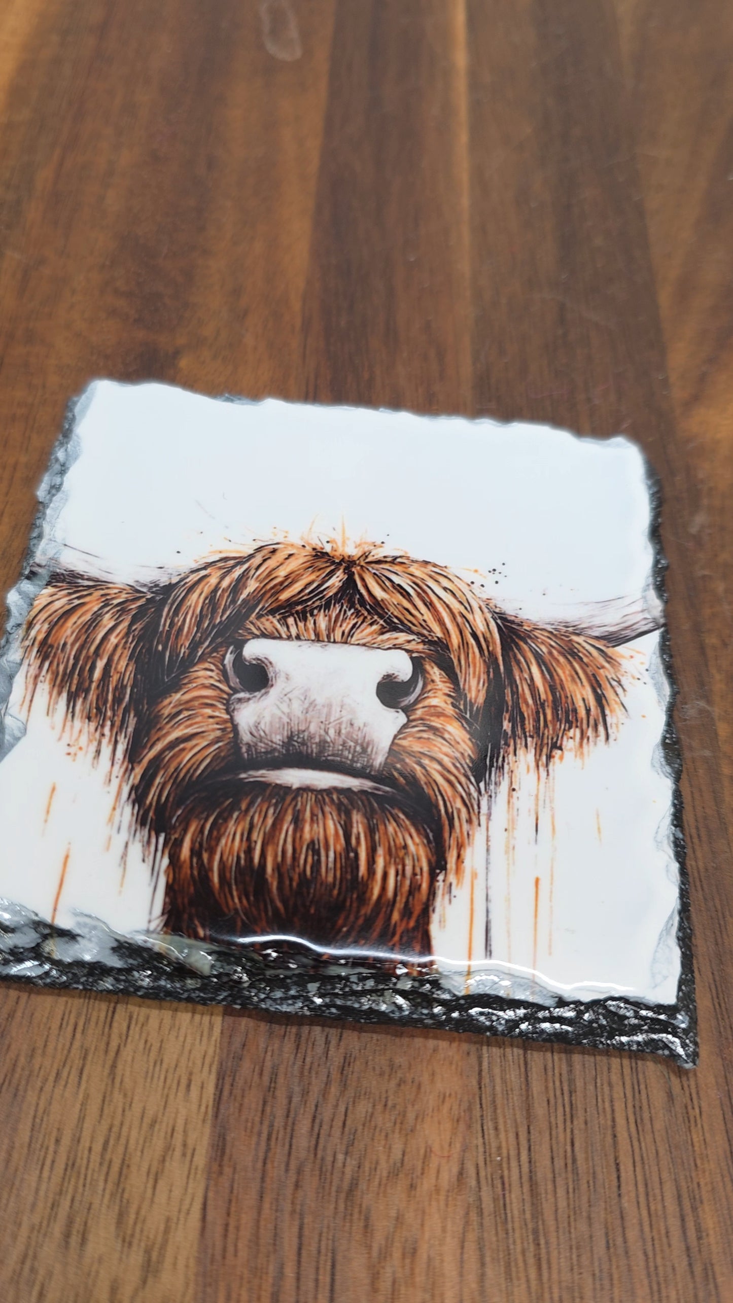 Slate Coaster - Highland Cow Slate Coaster - Highland Cow Coaster - I See Moo