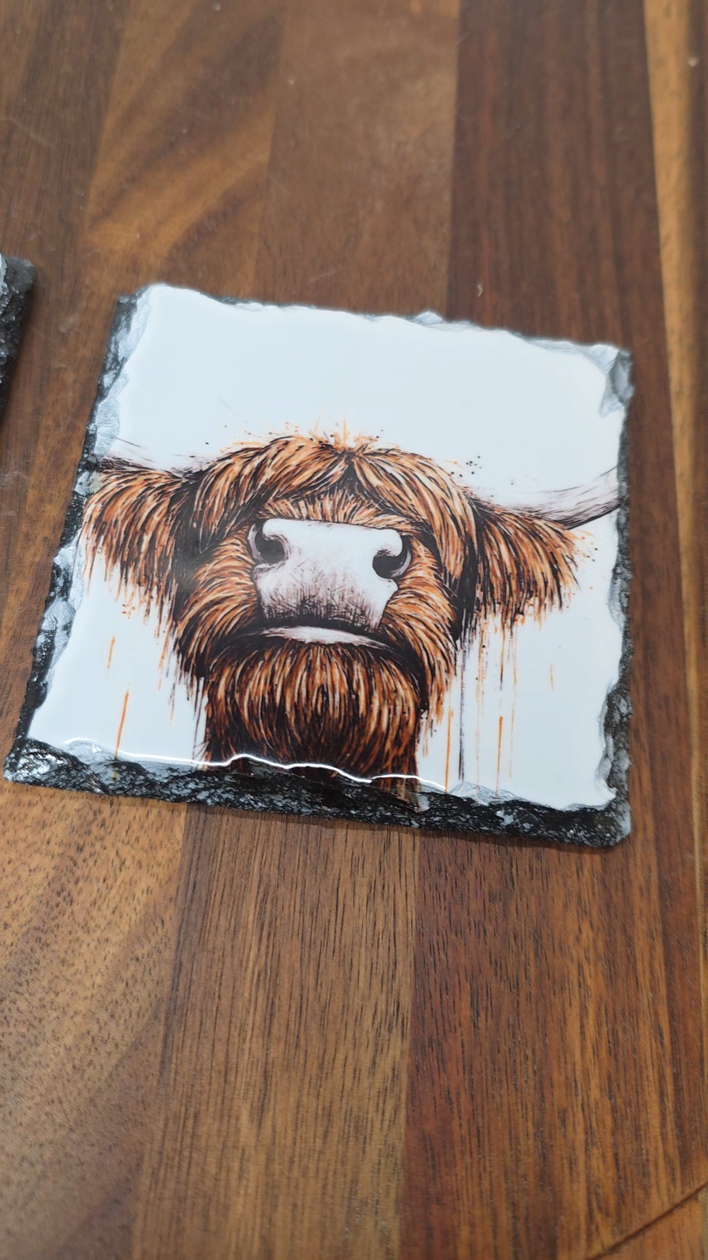 Slate Coaster - Highland Cow Slate Coaster - Highland Cow Coaster - I See Moo